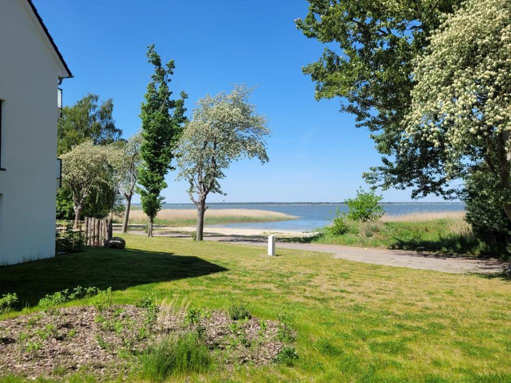 Baltic Lagoon Resort Direkt Am Meer Fuhlendorf  エクステリア 写真