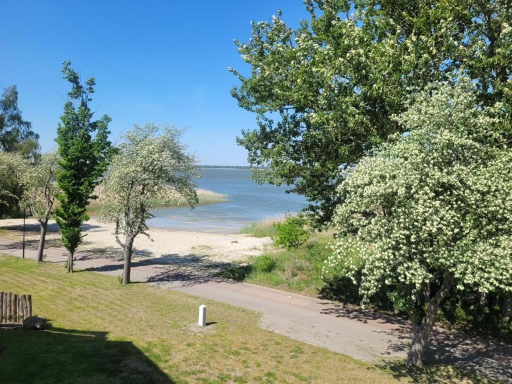 Baltic Lagoon Resort Direkt Am Meer Fuhlendorf  エクステリア 写真